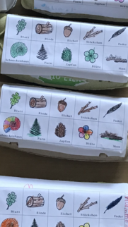 Das mussten die Kinder finden.